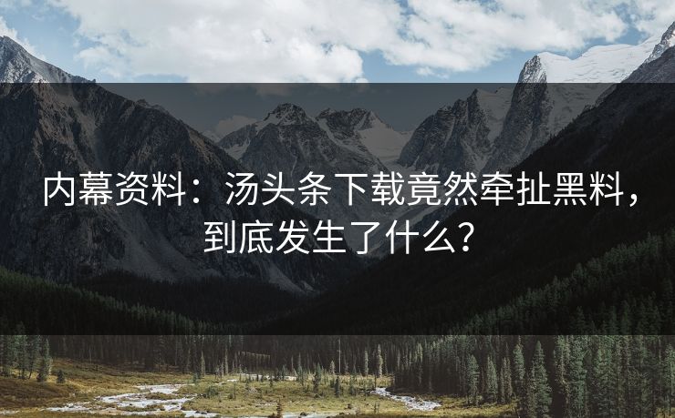 内幕资料：汤头条下载竟然牵扯黑料，到底发生了什么？