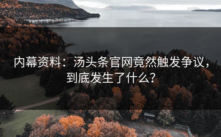 内幕资料：汤头条官网竟然触发争议，到底发生了什么？