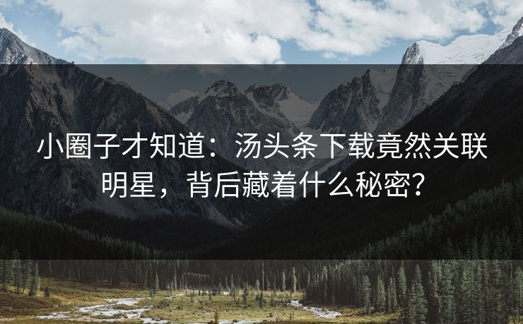 小圈子才知道：汤头条下载竟然关联明星，背后藏着什么秘密？