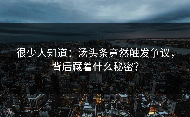 很少人知道：汤头条竟然触发争议，背后藏着什么秘密？