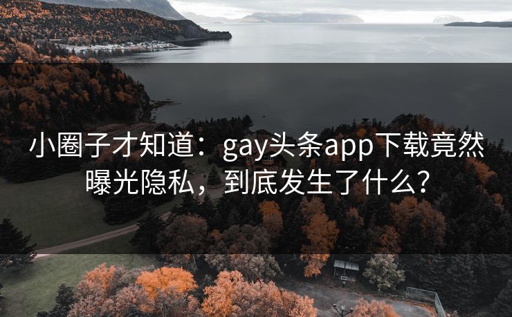 小圈子才知道：gay头条app下载竟然曝光隐私，到底发生了什么？