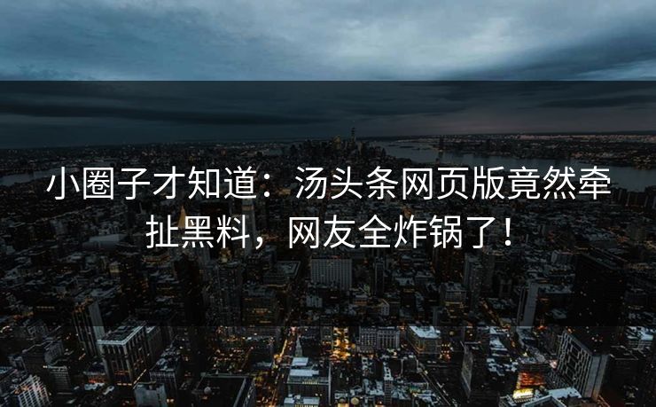 小圈子才知道：汤头条网页版竟然牵扯黑料，网友全炸锅了！