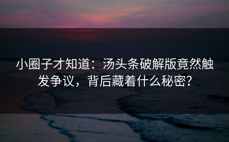 小圈子才知道：汤头条破解版竟然触发争议，背后藏着什么秘密？