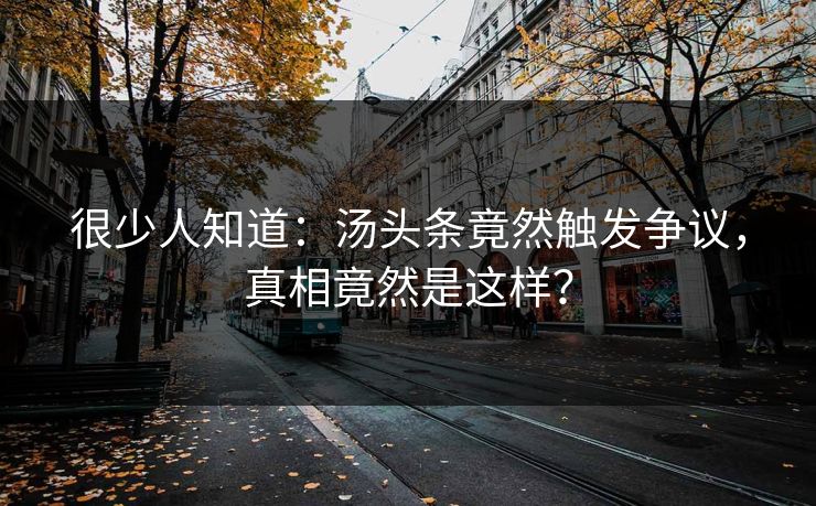 很少人知道：汤头条竟然触发争议，真相竟然是这样？