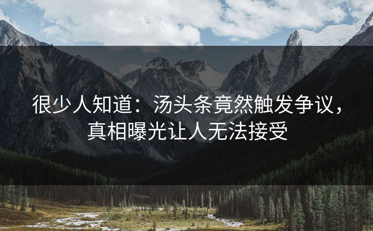 很少人知道：汤头条竟然触发争议，真相曝光让人无法接受