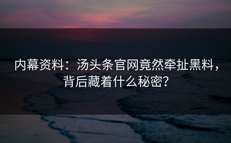 内幕资料：汤头条官网竟然牵扯黑料，背后藏着什么秘密？