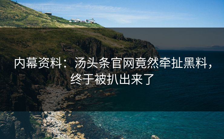 内幕资料：汤头条官网竟然牵扯黑料，终于被扒出来了