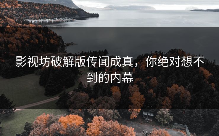 影视坊破解版传闻成真，你绝对想不到的内幕