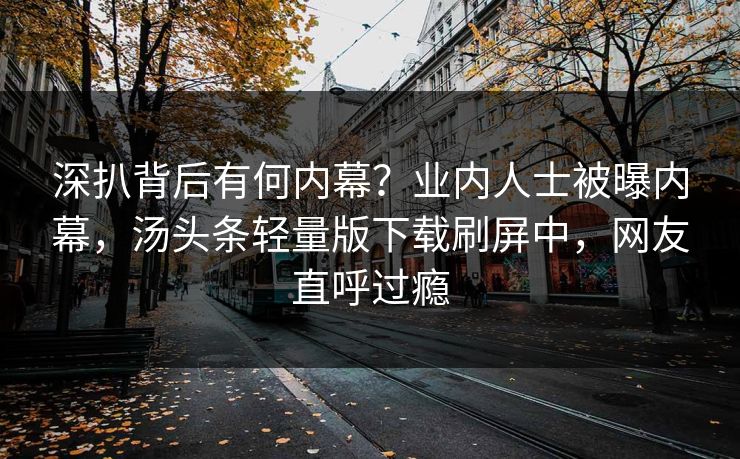 深扒背后有何内幕？业内人士被曝内幕，汤头条轻量版下载刷屏中，网友直呼过瘾