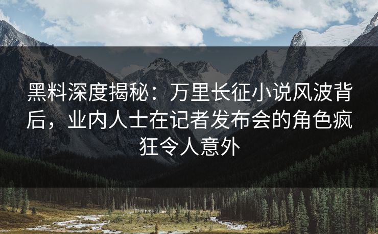 黑料深度揭秘：万里长征小说风波背后，业内人士在记者发布会的角色疯狂令人意外