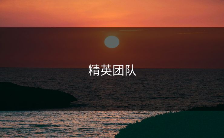 精英团队
