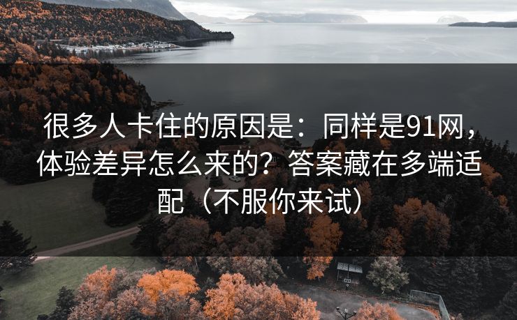 很多人卡住的原因是：同样是91网，体验差异怎么来的？答案藏在多端适配（不服你来试）